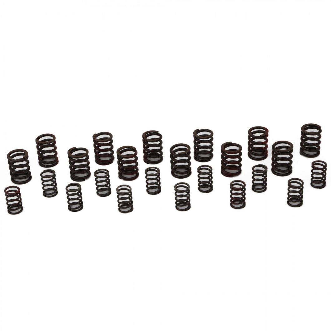 TR6-VS6706k  Valve Spring Set, Single Type 1968-72