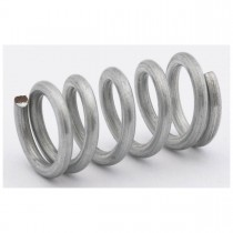 TR6-628097 HUB CAP ANTI RATTLE SPRING